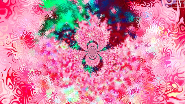 Обои 2025-01-04 №50491