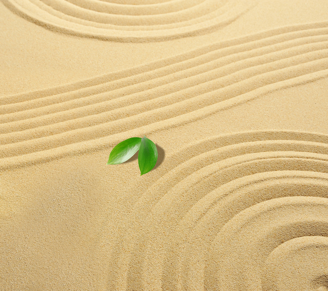 Обои 2025-01-07 №50671