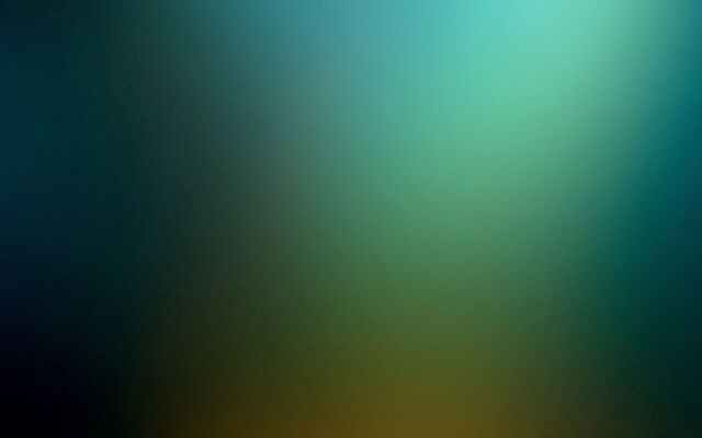 Обои 2025-01-19 №51351