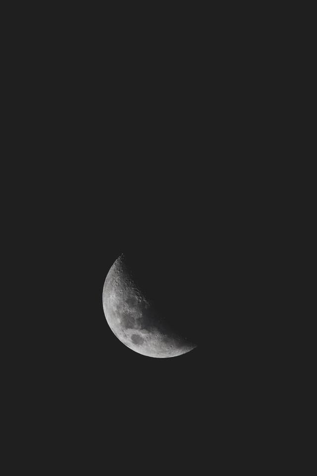 Обои 2025-01-26 №51716