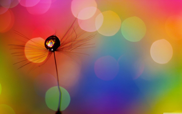 Обои 2025-02-11 №52562