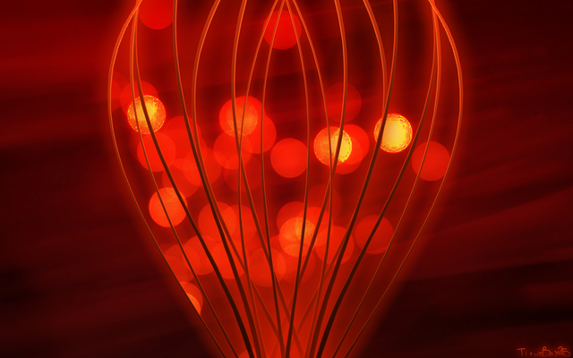 Обои 2025-02-26 №53331