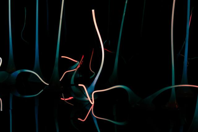 Обои 2025-03-08 №53841