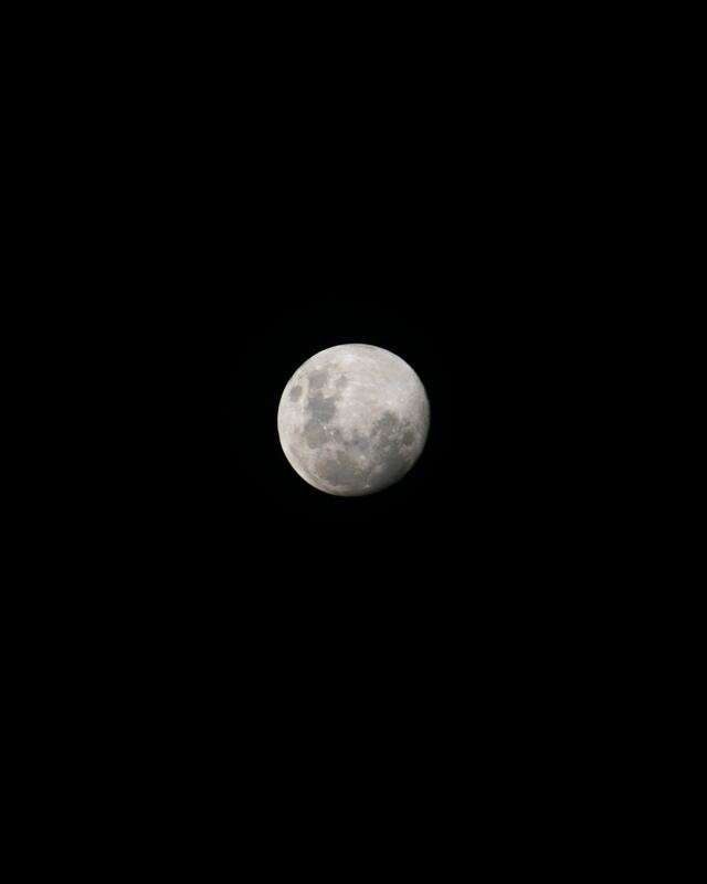 Обои 2025-03-27 №54791