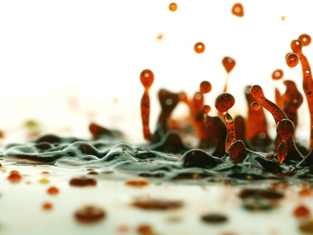 Обои 2025-03-29 №54913