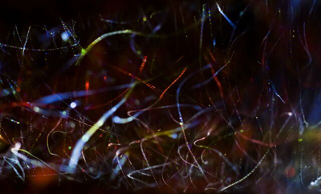 Обои 2025-04-26 №56457