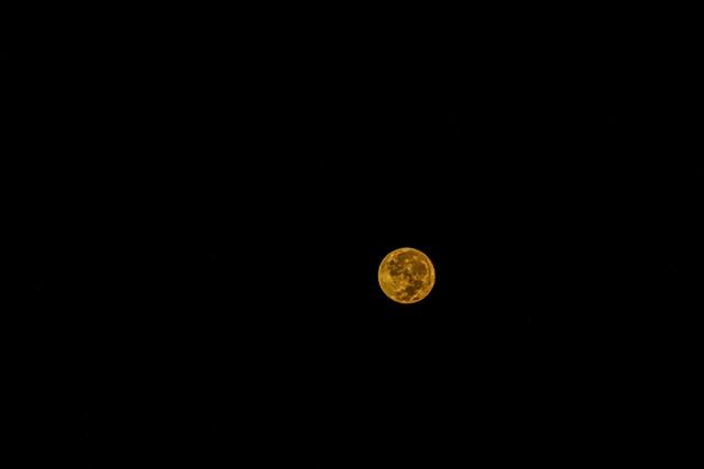 Обои 2025-04-28 №56642