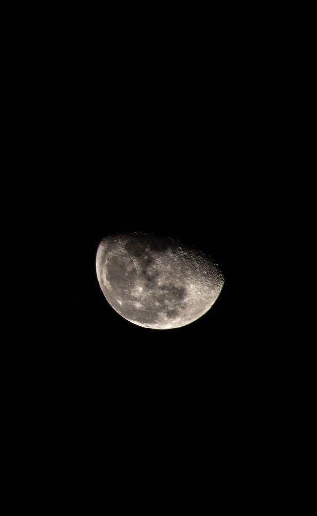 Обои 2025-05-09 №57905