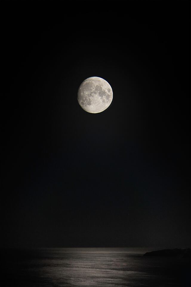 Обои 2025-05-11 №58149