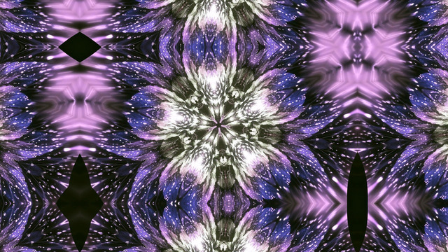 Обои 2025-05-13 №58275