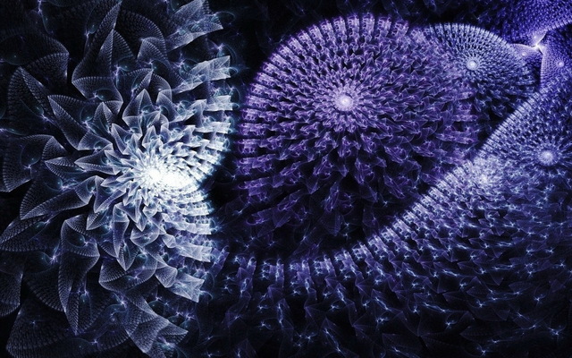 Обои 2025-05-13 №58293