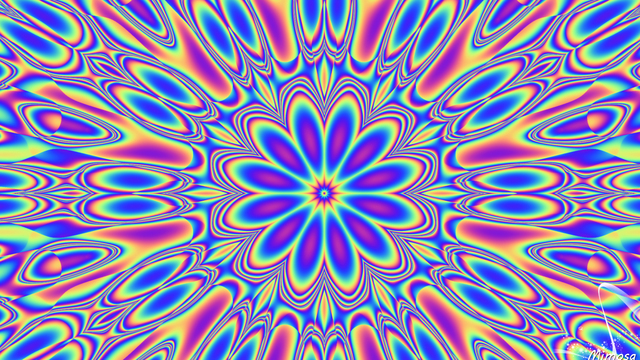 Обои 2025-05-13 №58310