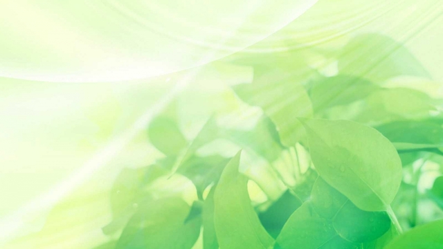 Обои 2025-05-14 №58415