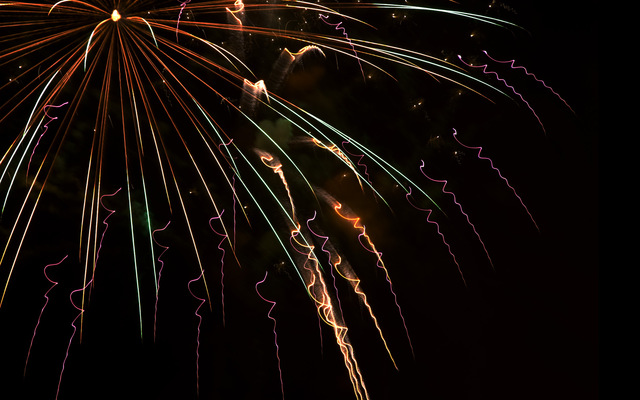 Обои 2025-05-15 №58536