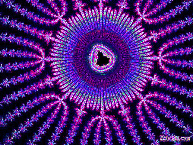 Обои 2025-05-18 №58874