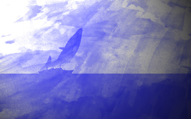 Обои 2025-05-19 №59014