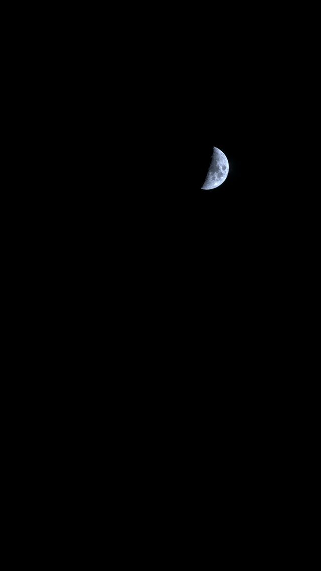 Обои 2025-05-20 №59089