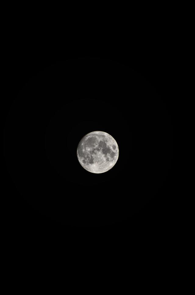 Обои 2025-05-20 №59133