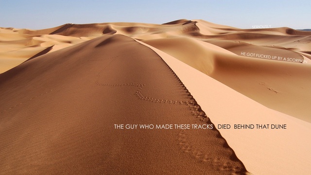 Обои 2025-05-25 №59634
