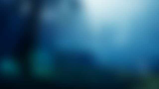 Обои 2025-05-26 №59713