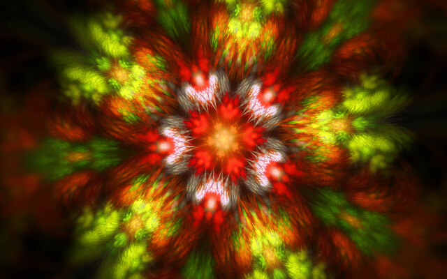 Обои 2025-05-29 №60076