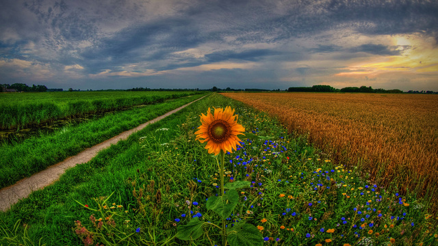 Обои 2025-06-02 №60503