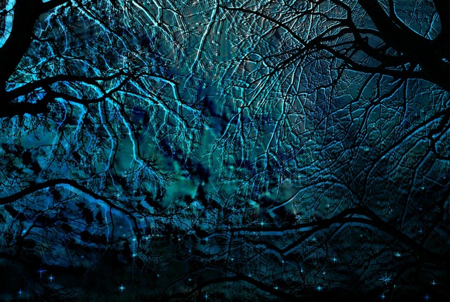 Обои 2025-06-16 №61902