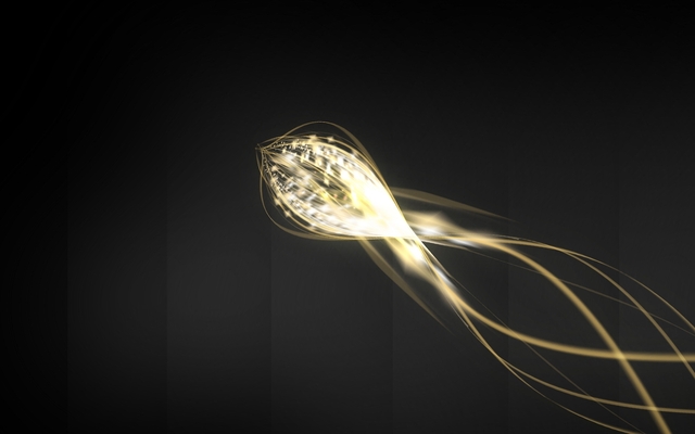 Обои 2025-06-17 №61949