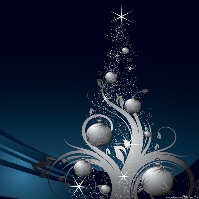 Обои 2025-06-28 №62648