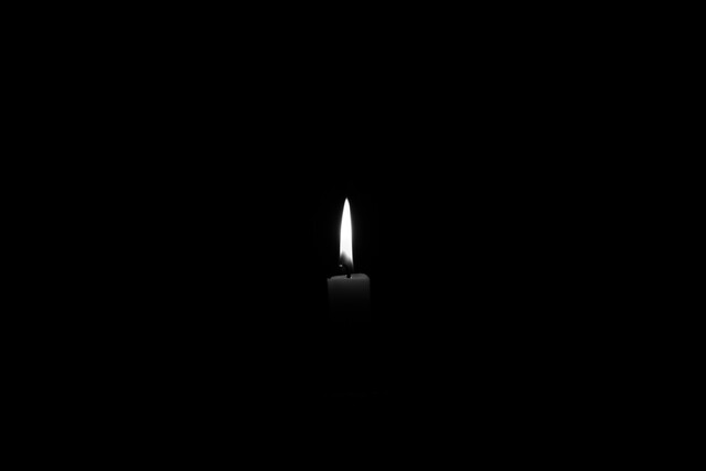 Обои 2025-06-28 №62638