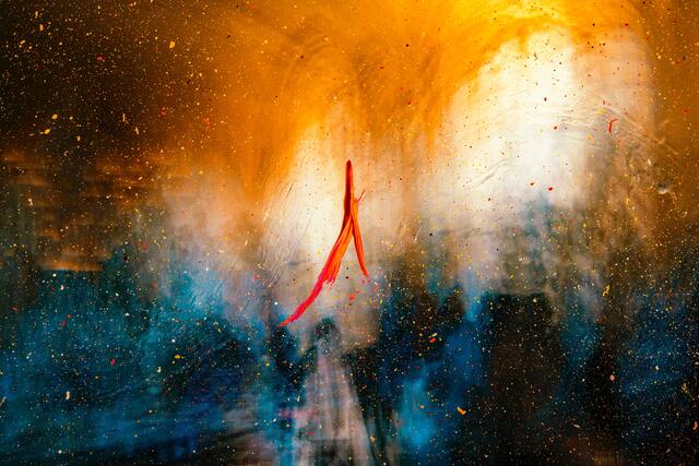 Обои 2025-07-13 №64096