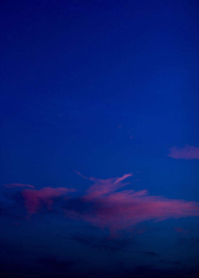 Обои 2025-07-13 №64115