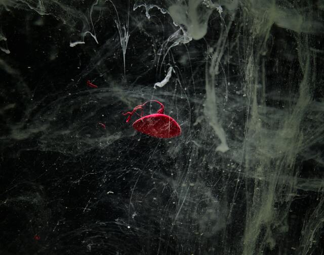 Обои 2025-07-19 №64714