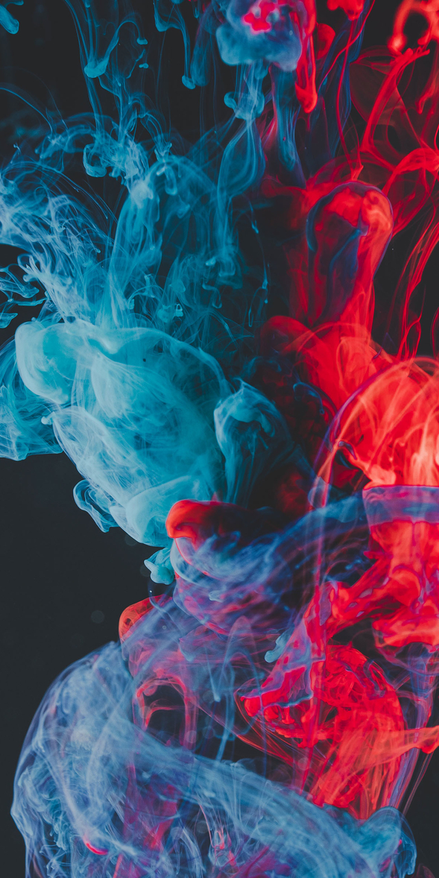 Обои 2025-07-23 №65092