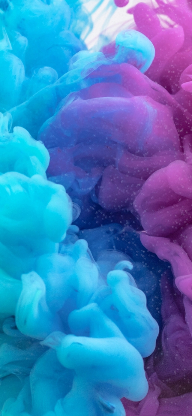 Обои 2025-07-23 №65089