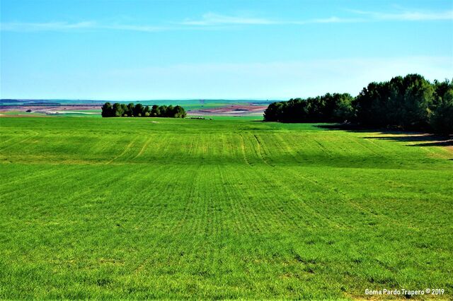 Обои 2025-07-31 №65828
