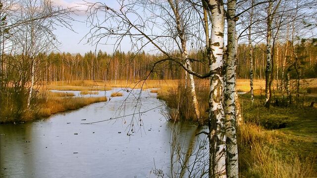 Обои 2025-08-05 №66324