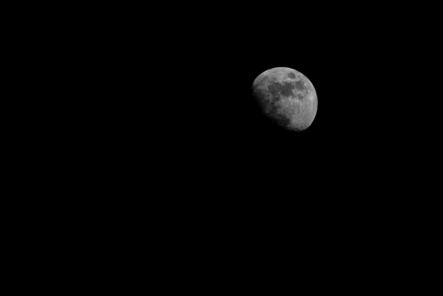 Обои 2025-08-15 №67172