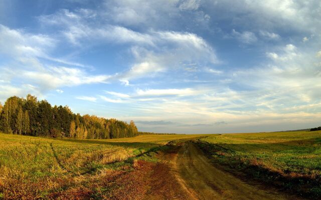 Обои 2025-08-21 №67725