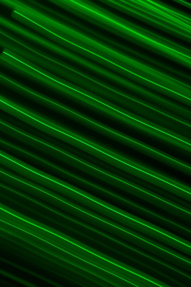 Обои 2025-08-22 №67782