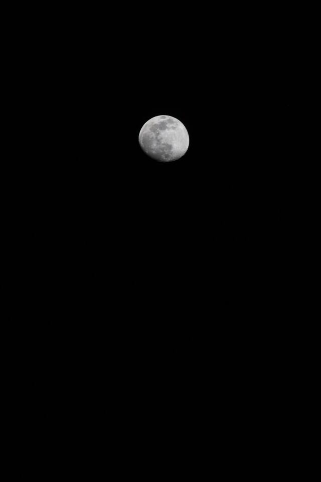 Обои 2025-09-05 №69010