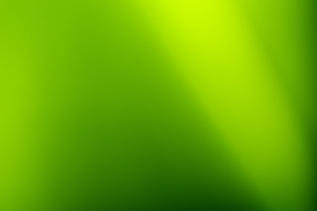 Обои 2025-09-08 №69246