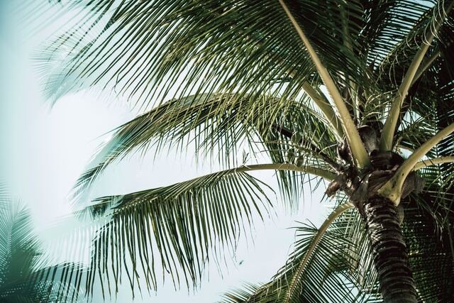 Обои 2025-09-09 №69296