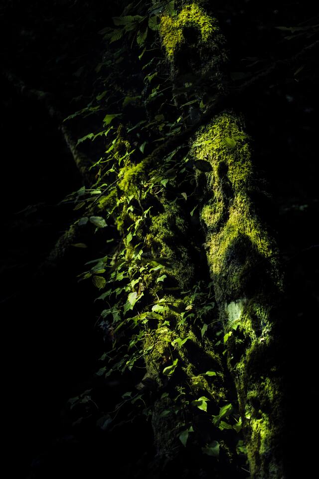 Обои 2025-09-09 №69348