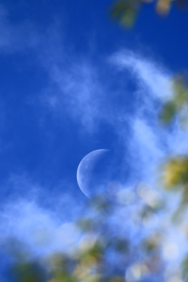 Обои 2025-09-09 №69345