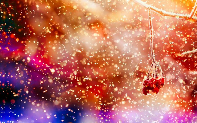 Обои 2025-09-11 №69474