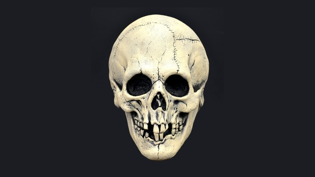 Обои 2025-09-11 №69491