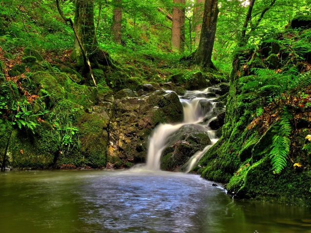 Обои 2025-09-11 №69494