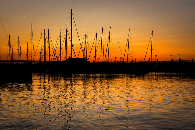 Обои 2025-09-11 №69505