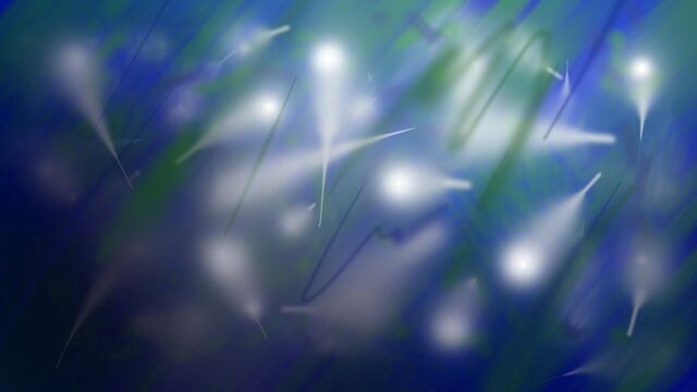 Обои 2025-09-11 №69518